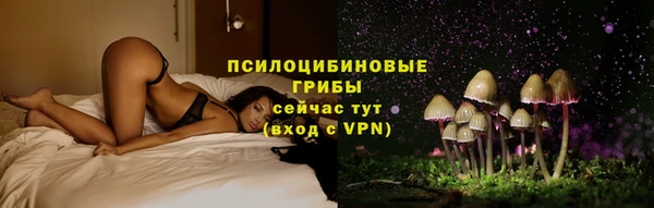мяу мяу мука Белокуриха