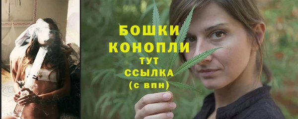 эйфоретик Белая Холуница