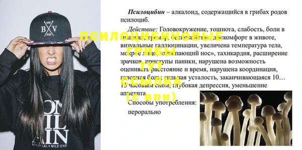 гидра Балахна